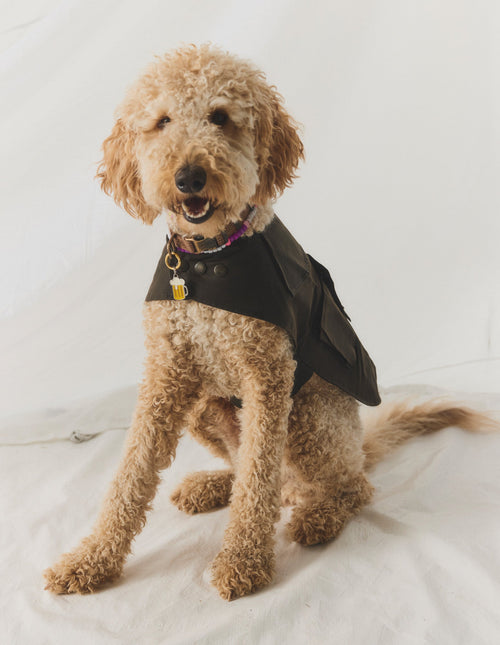 All Excluding Gift Cards