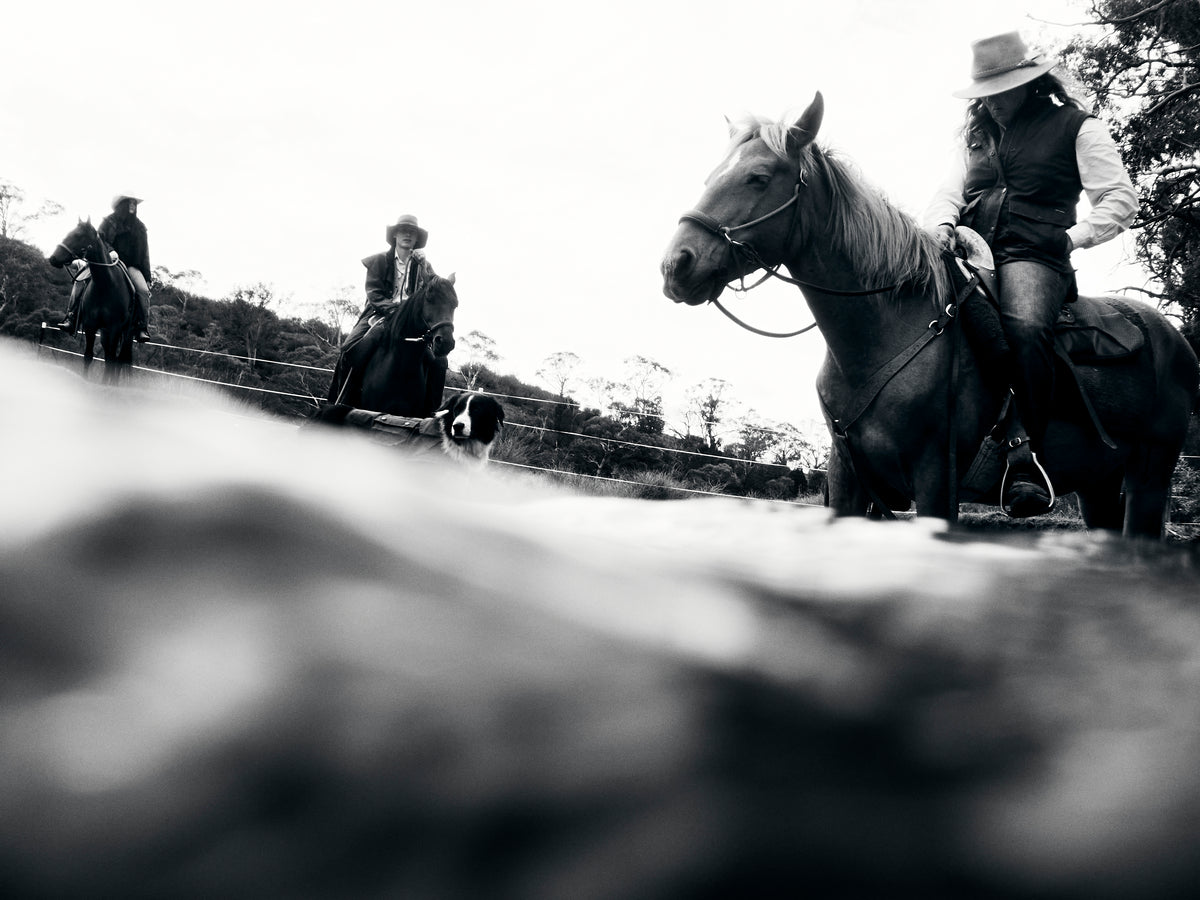 Black and white photograph of a cowboy riding a horse in an outdoor setting, with other riders visible in the background.