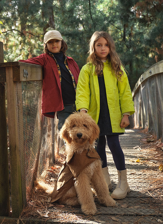 Light Weight Dog Coat