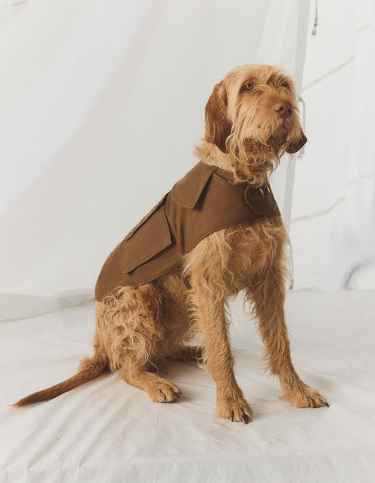 3DGD00062_SAND_2_1776656039