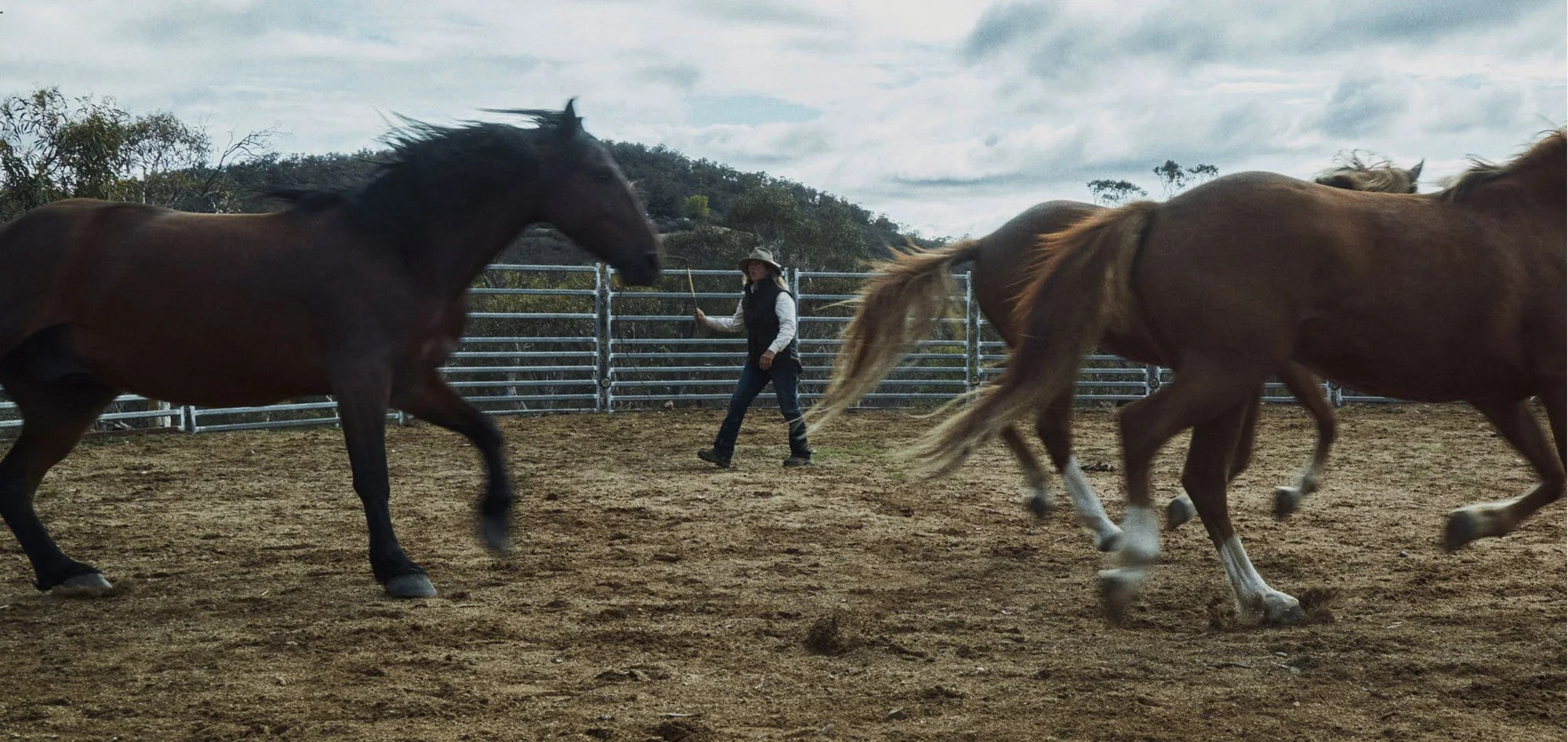 A person in the Driza-Bone Women's Jumbuck Vest stands in a dirt paddock between two running horses under an overcast sky, with hills and fencing in the background.