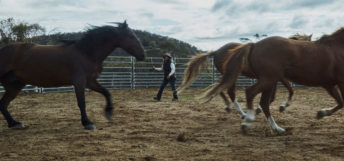 A person in a cowboy hat and boots stands in a dirt paddock between several running horses, with metal fencing and hills in the background under a cloudy sky.